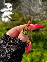 Neon Pouce.webp