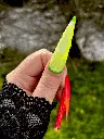 Fruits Pouce.webp