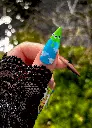 Toys Pouce.webp