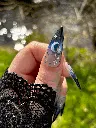 Blue Potion Pouce.webp