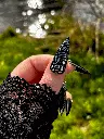 Samurai Pouce.webp