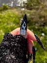 Rock pouce.webp